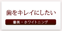 歯をキレイにしたい 審美・ホワイトニング