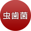 虫歯菌