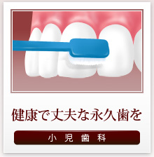 健康で丈夫な永久歯を 小児歯科